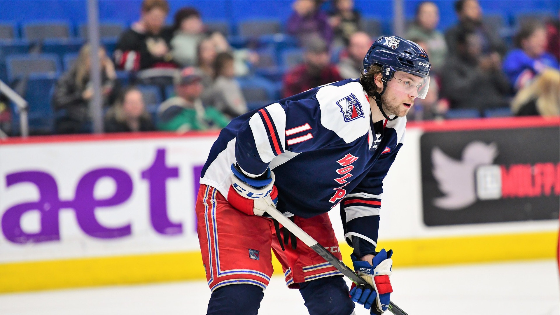 Hartford Wolf Pack/Flickr.com