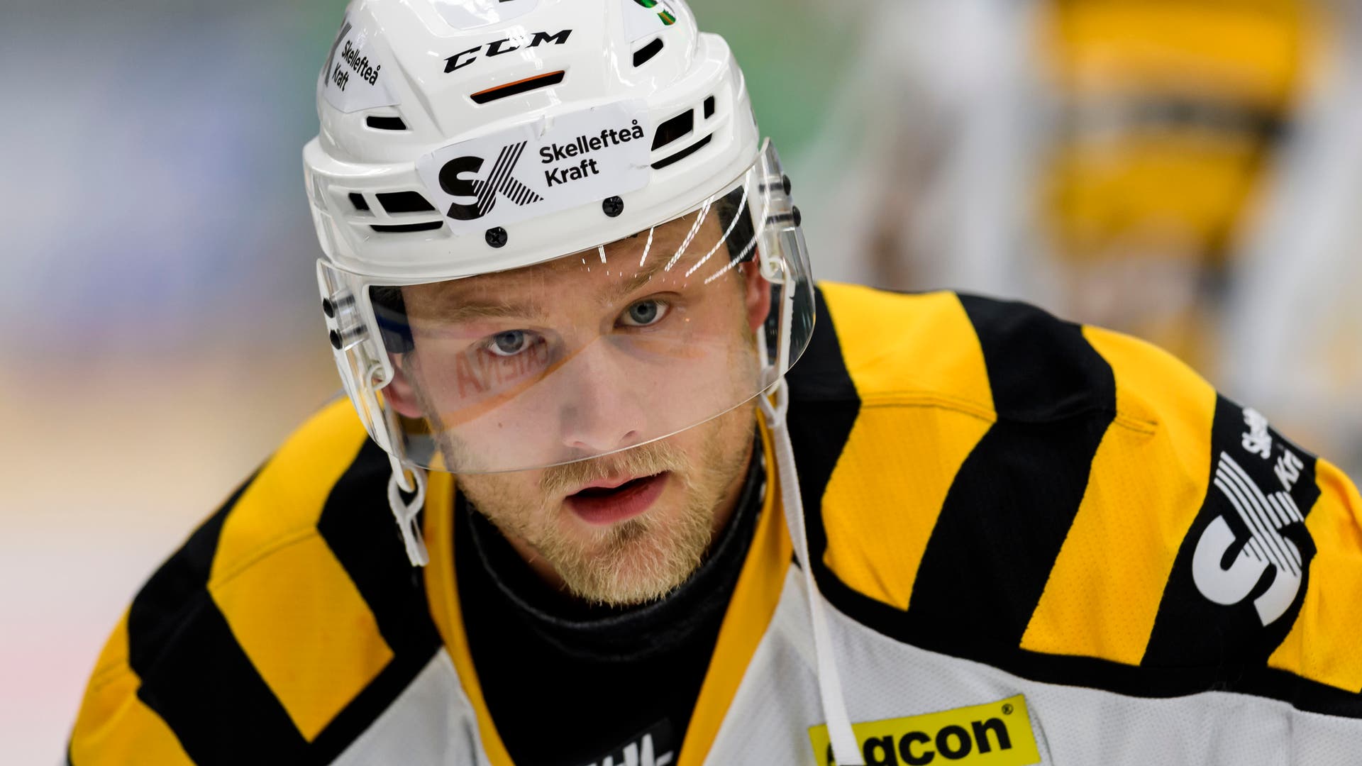 Anders Bjurö/Bildbyrån