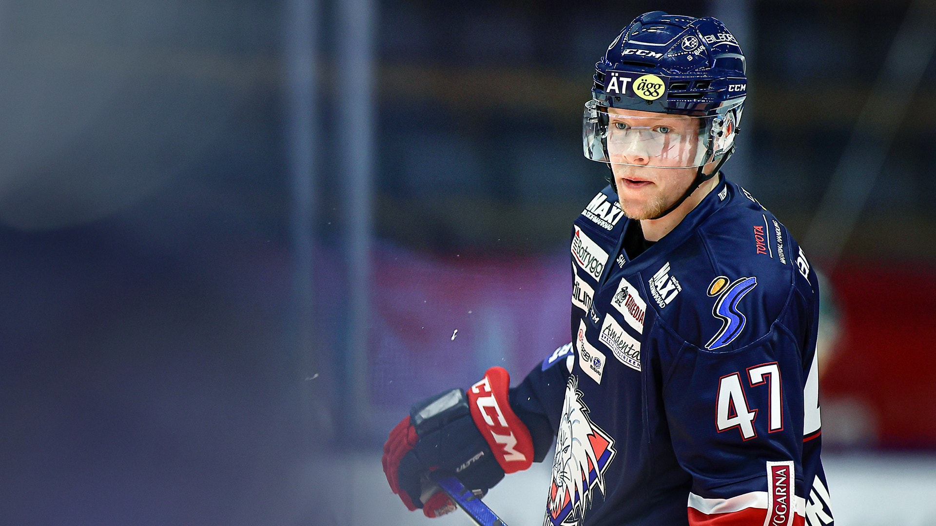 (20360) Anton Karlsson