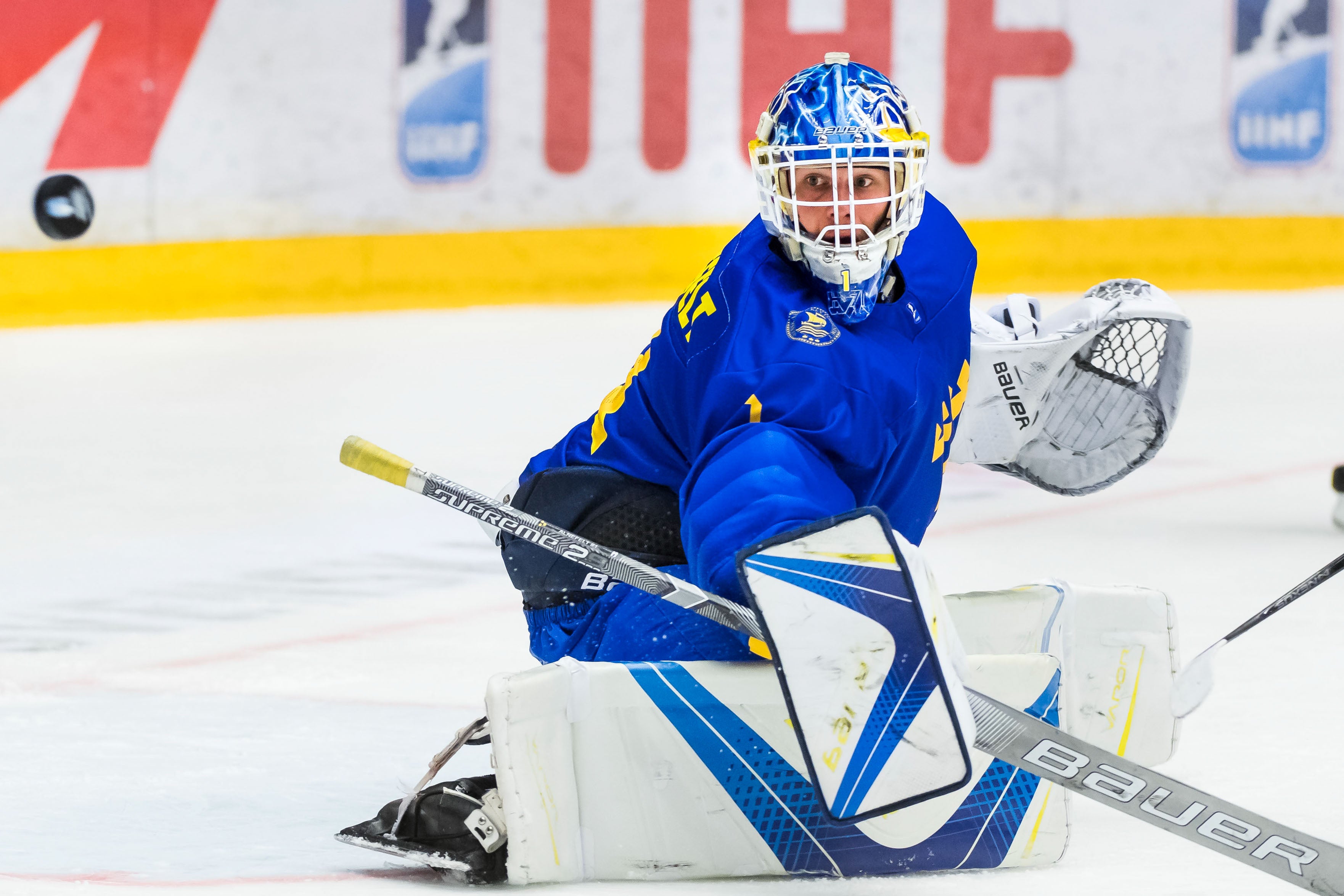 (8126) Hugo Alnefelt