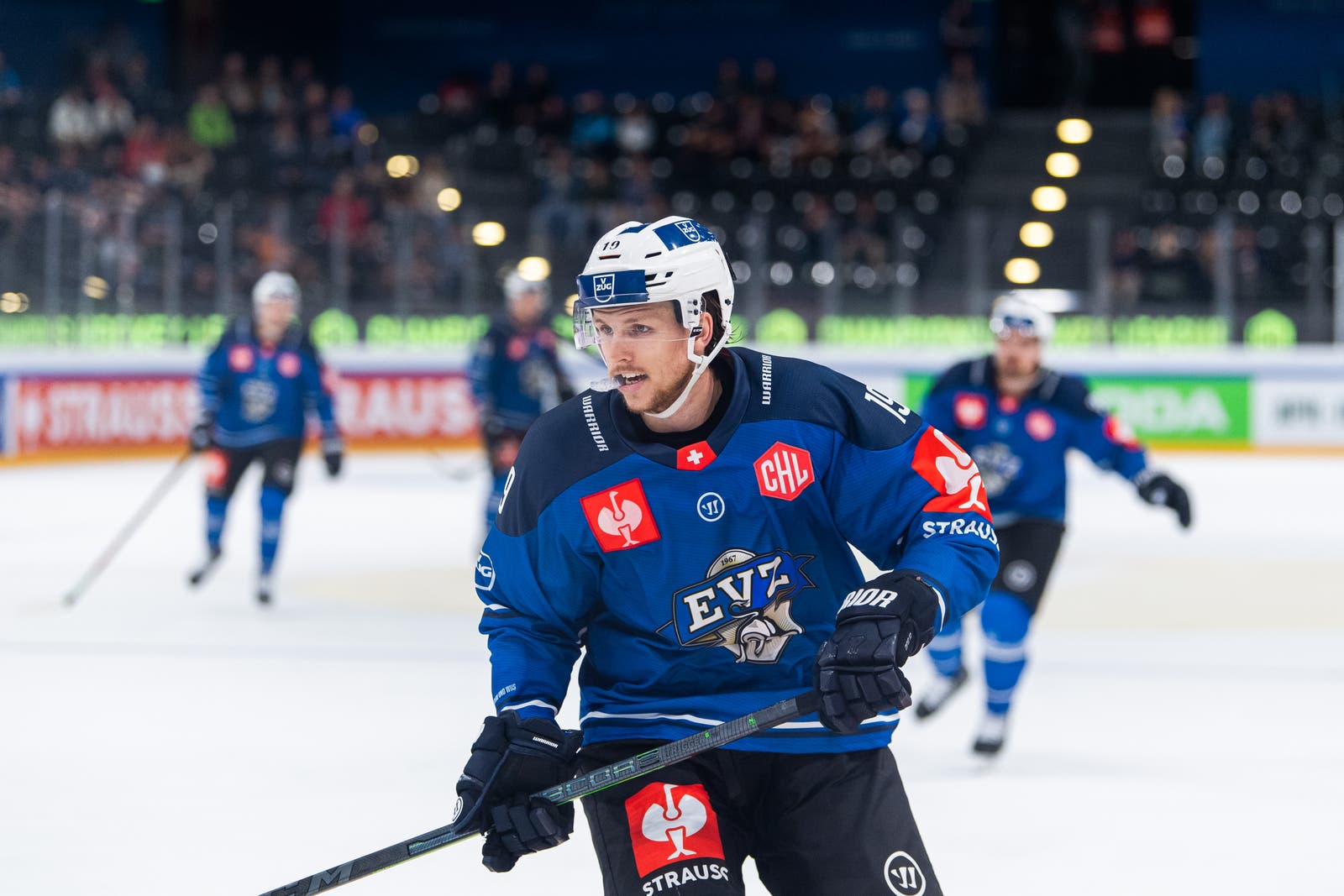 (24877) Niklas Hansson EV Zug