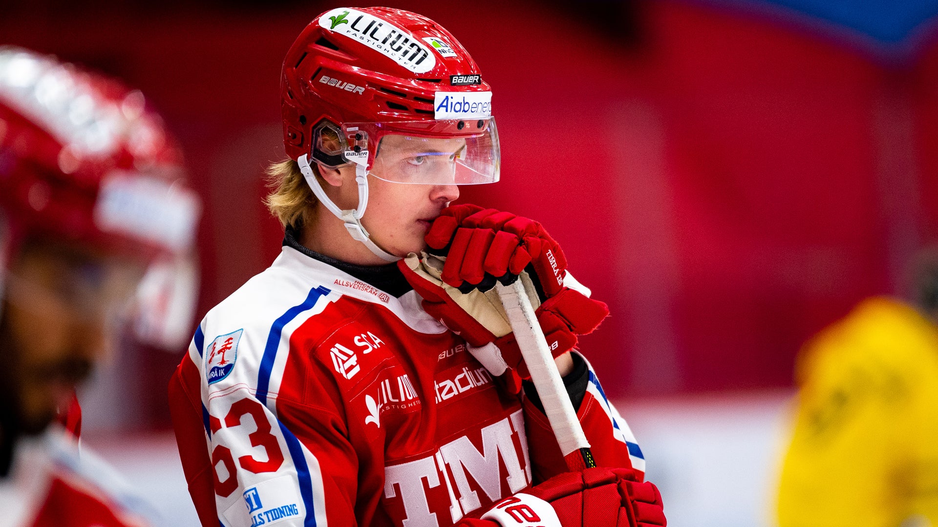 (17399) Walli Walterholm