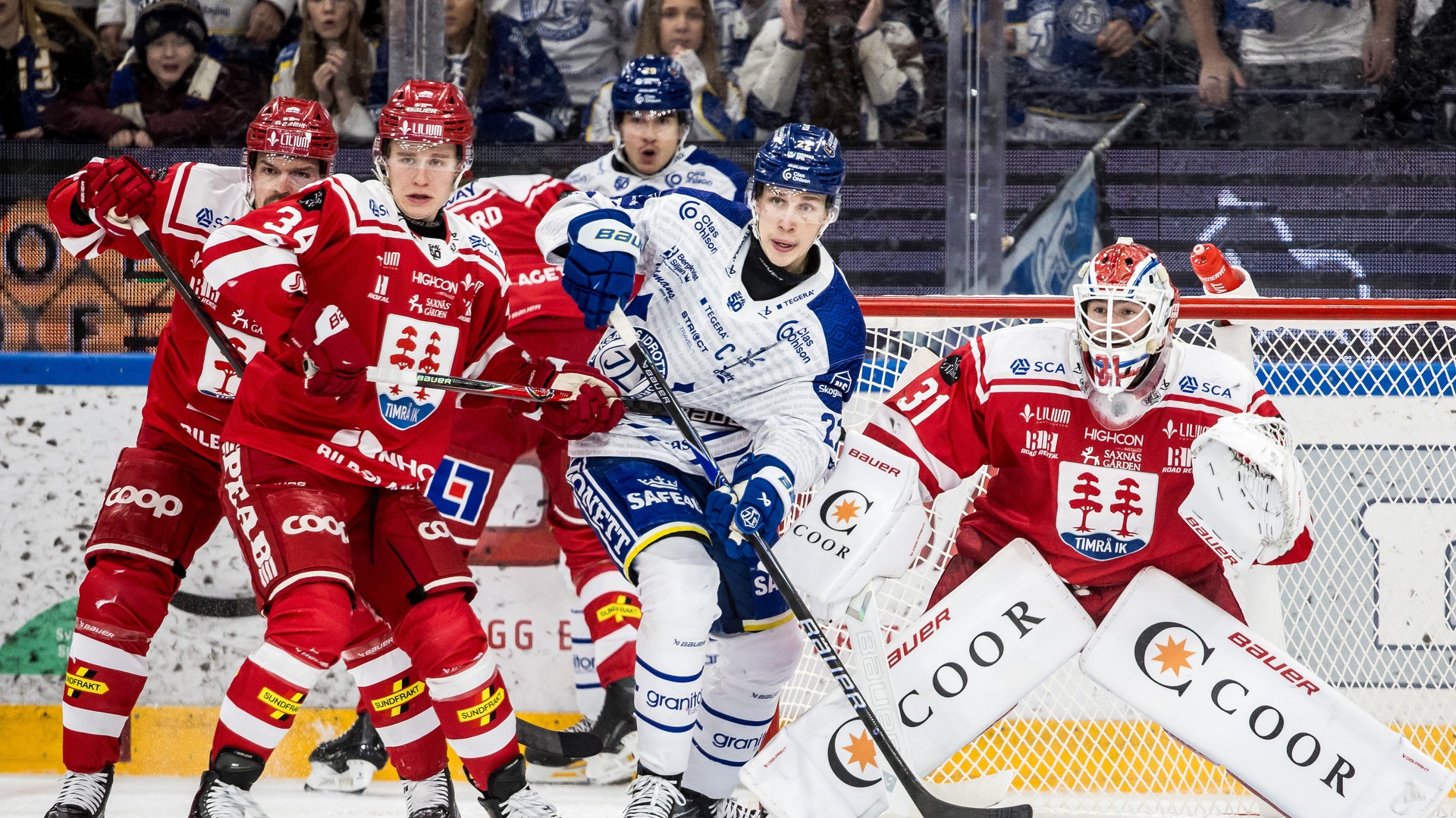 Alfons Freij, Lukas Vejdemo