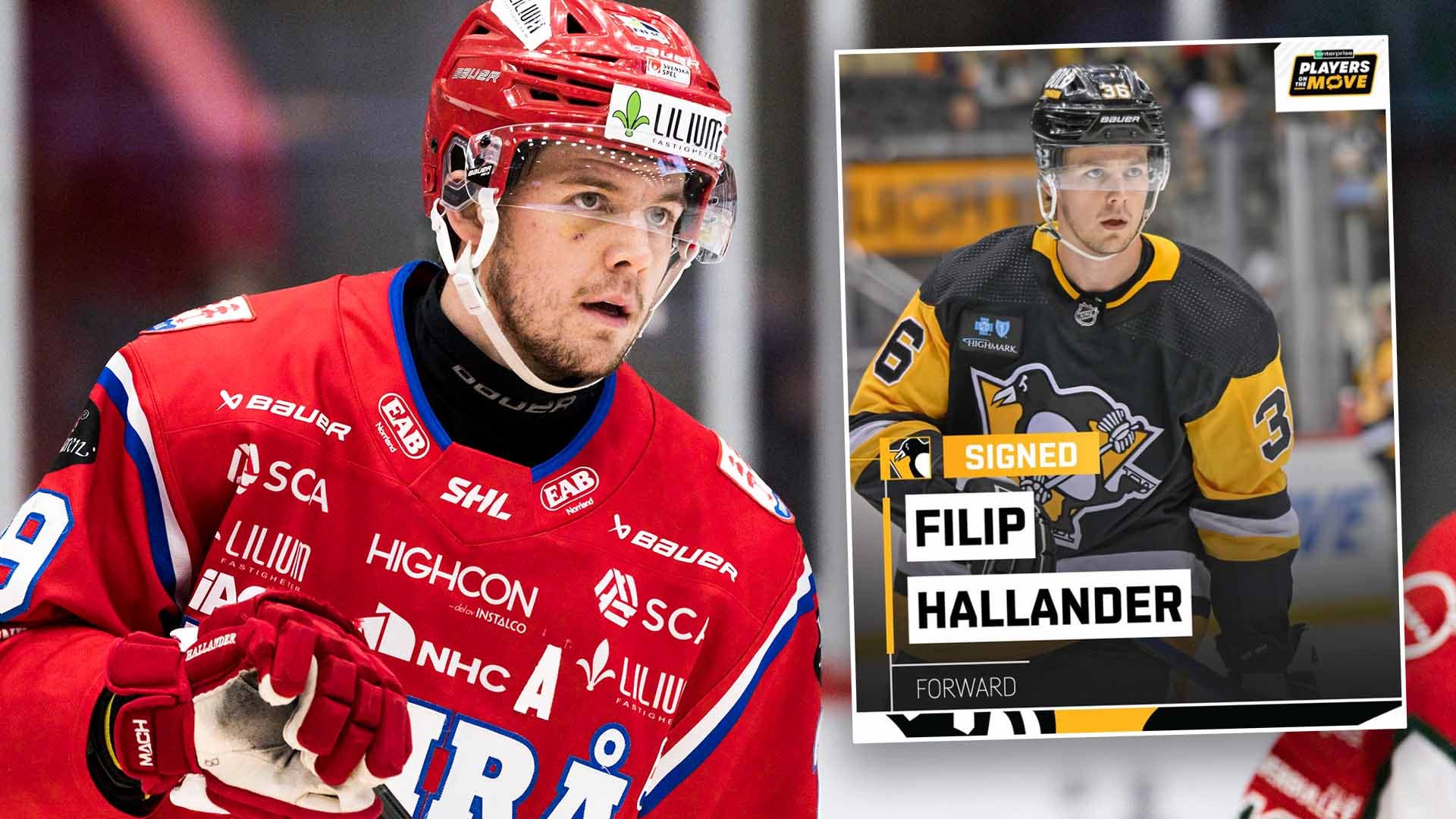 Filip Hållander