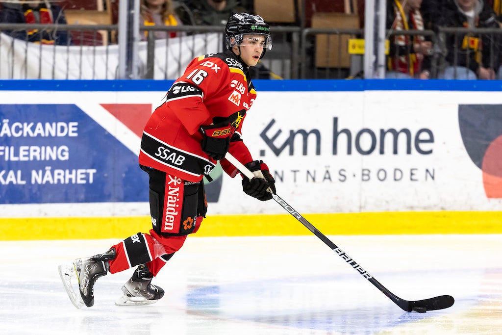 (30733) Axl Johansson