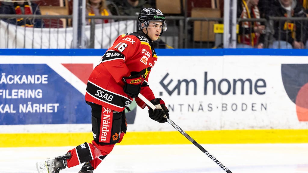 (30733) Axl Johansson