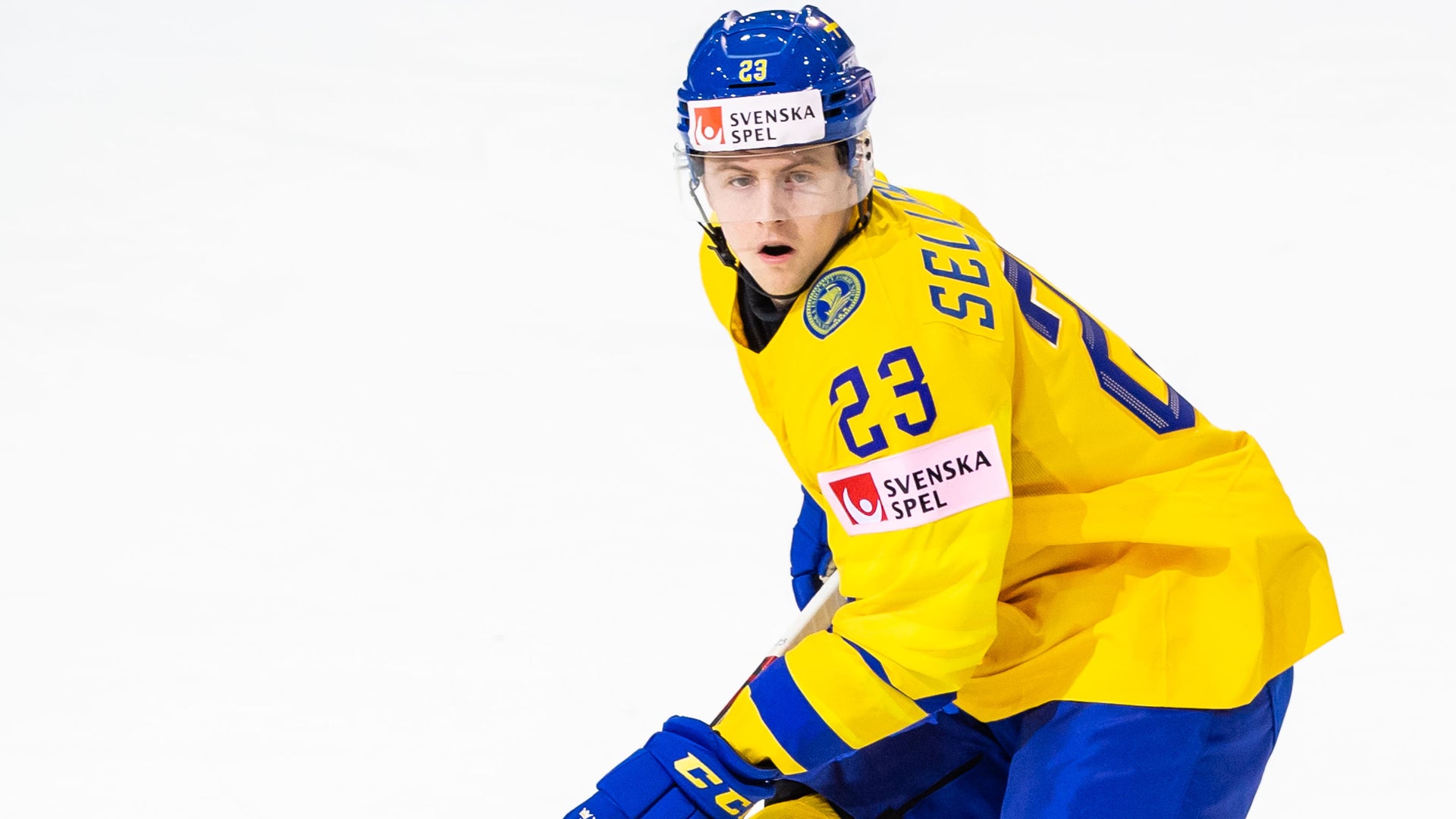 (24130) Jesper Sellgren