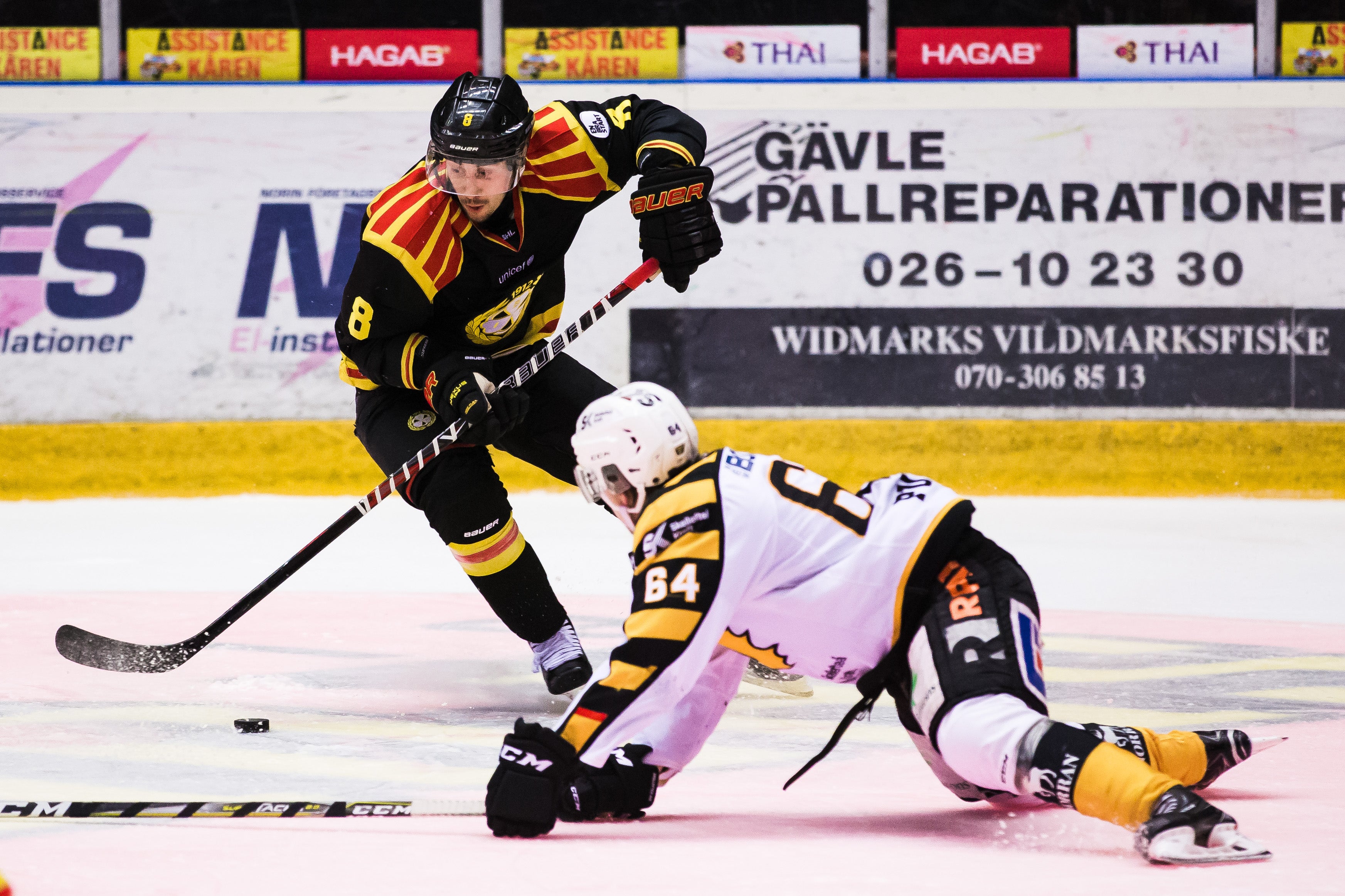 (3166) aaron palushaj