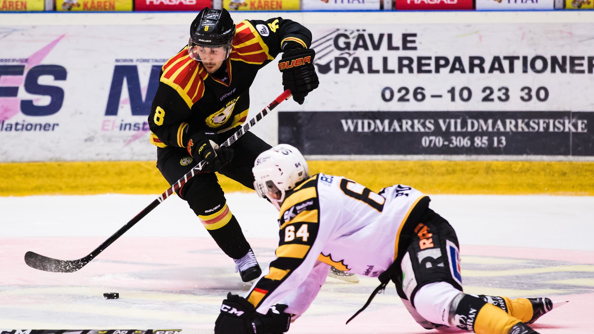 (3166) aaron palushaj