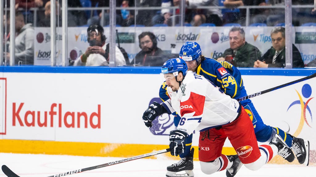 (28067) David Tomasek