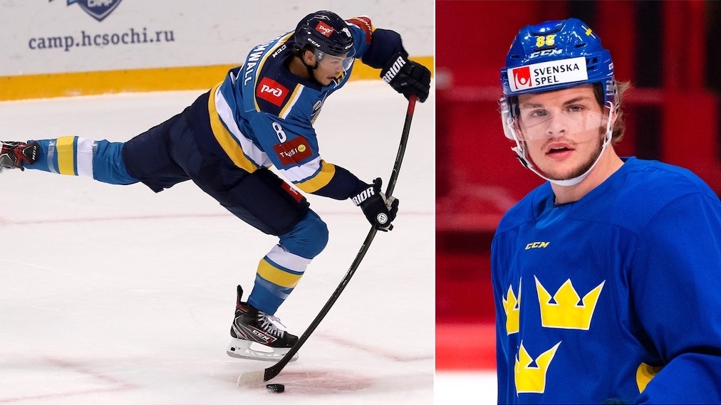 (c) photo.khl.ru Yury Kuzmin/Bildbyrån
