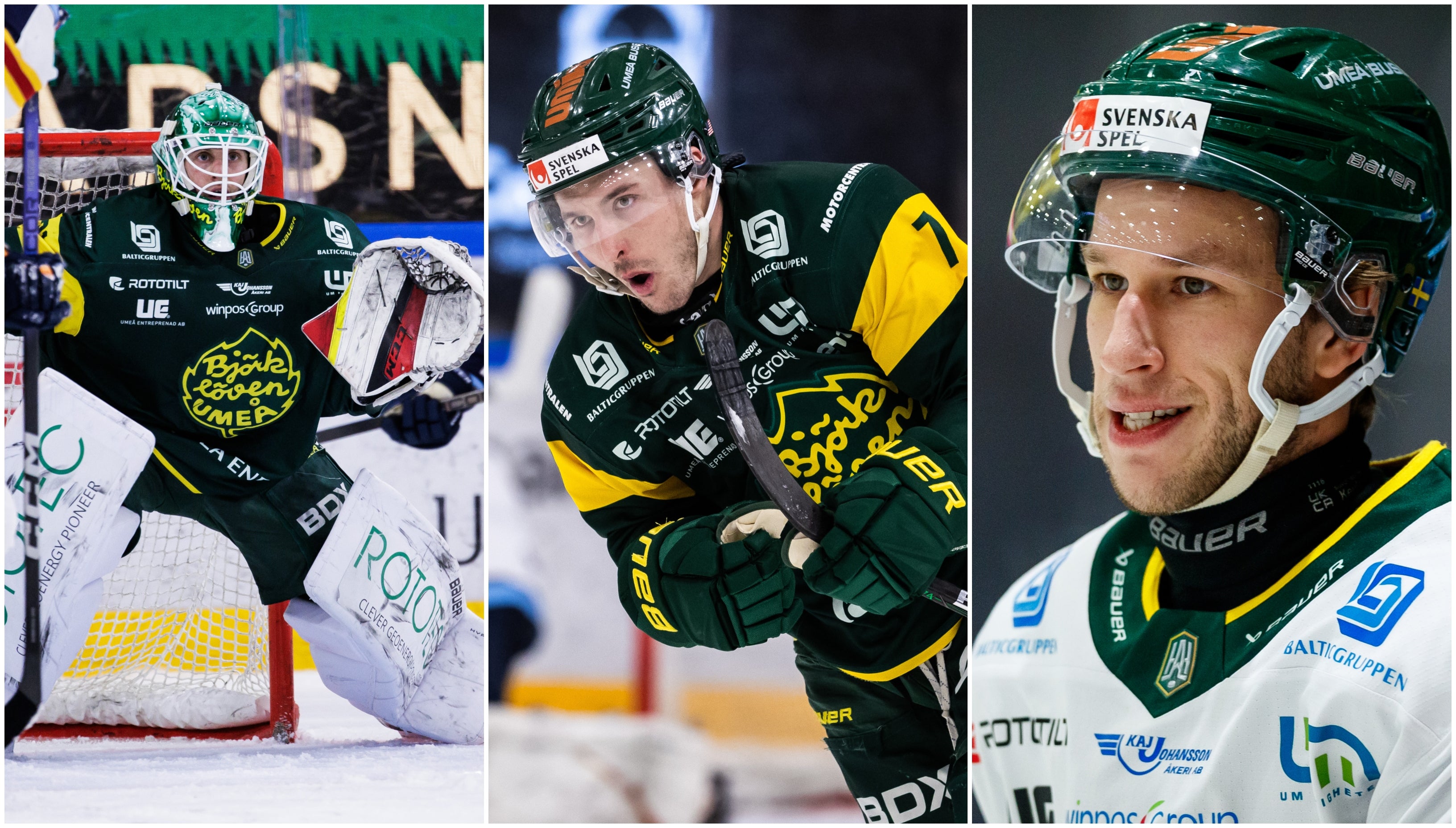 Björklöven