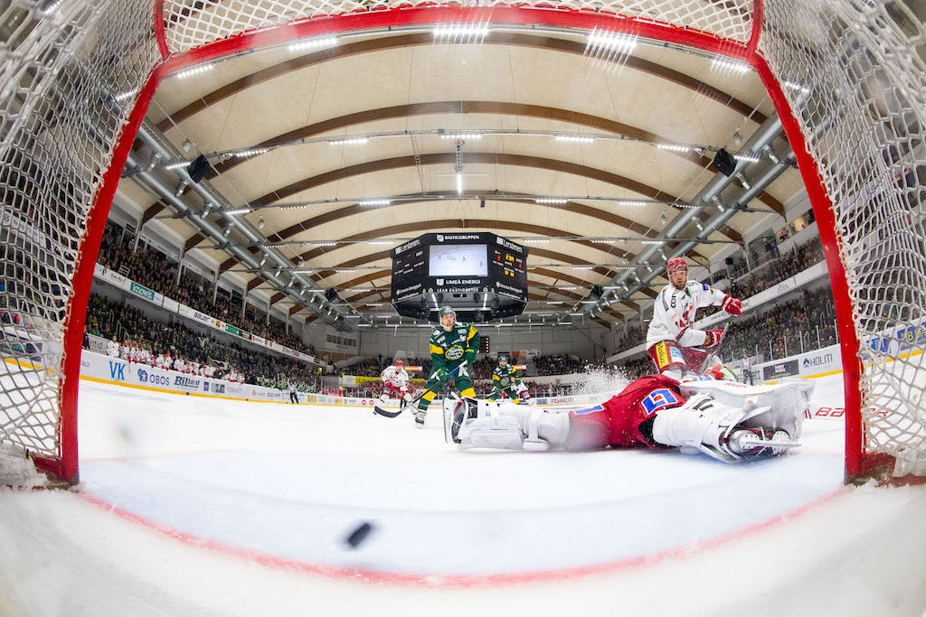 (9991) björklöven modo