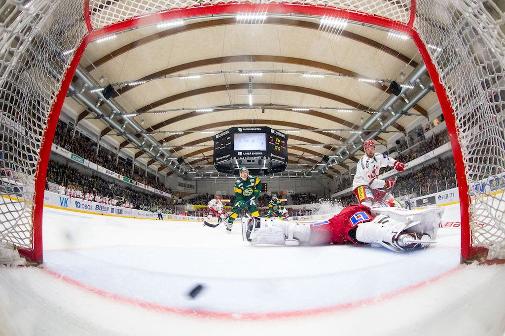 (9991) björklöven modo