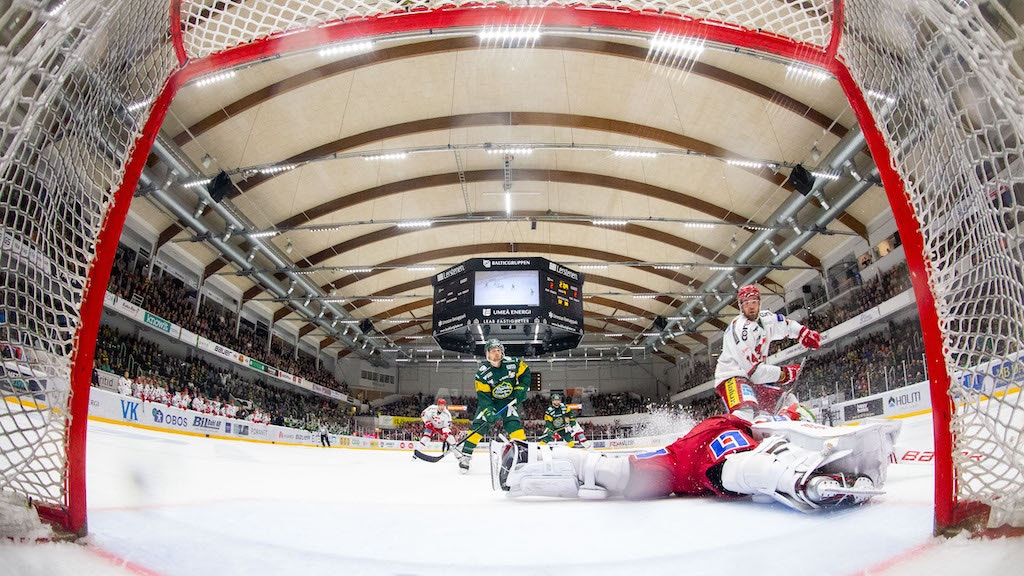 (9991) björklöven modo