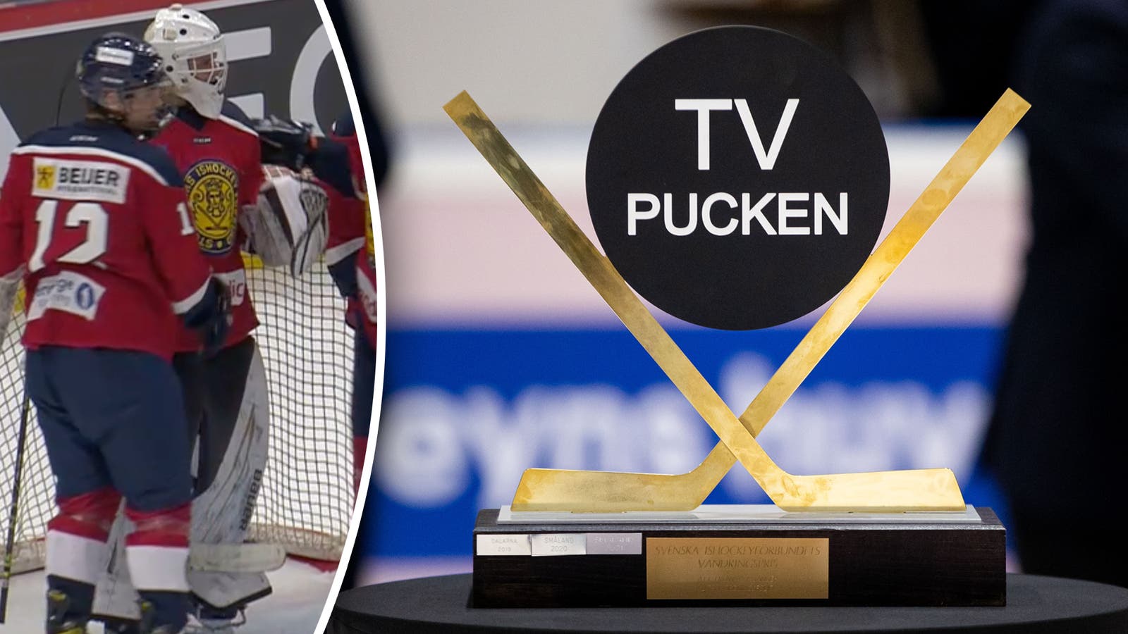 (29713) TV-pucken