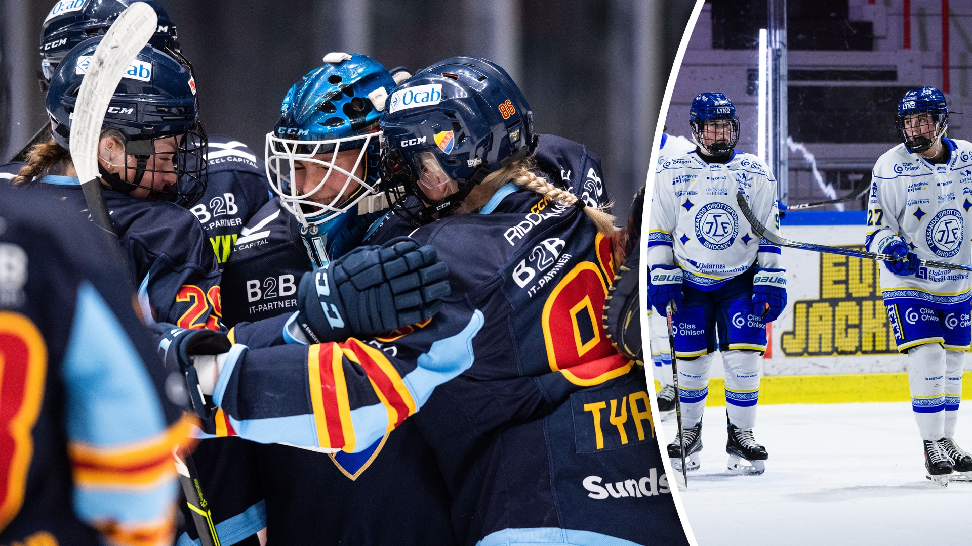 (26895) SDHL-DIF-LIF