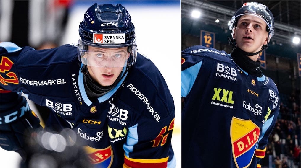 (29441) Ludvig Hedström