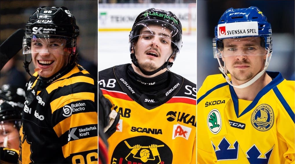 (24584) Hugg Brännström Djuse