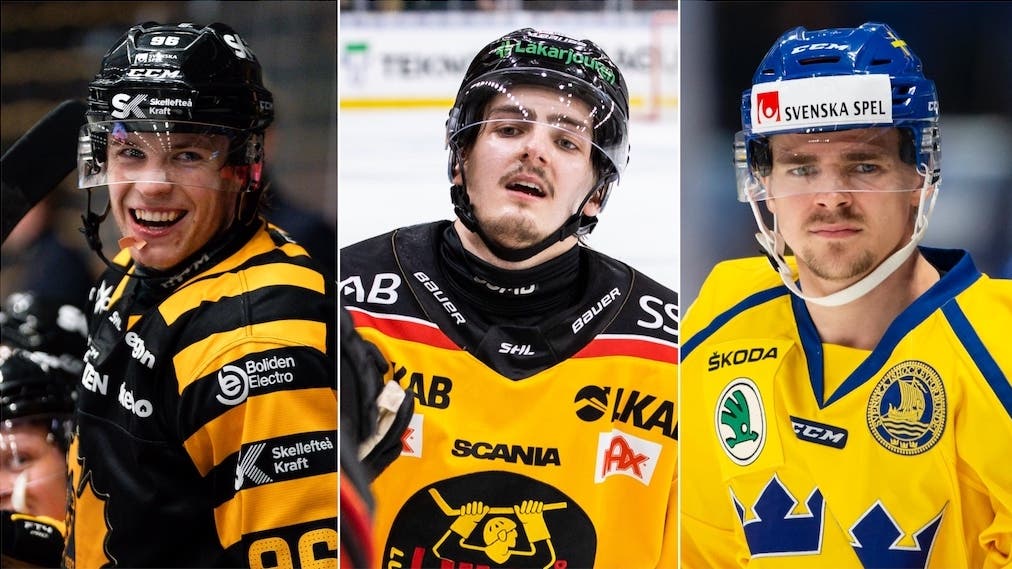 (24584) Hugg Brännström Djuse