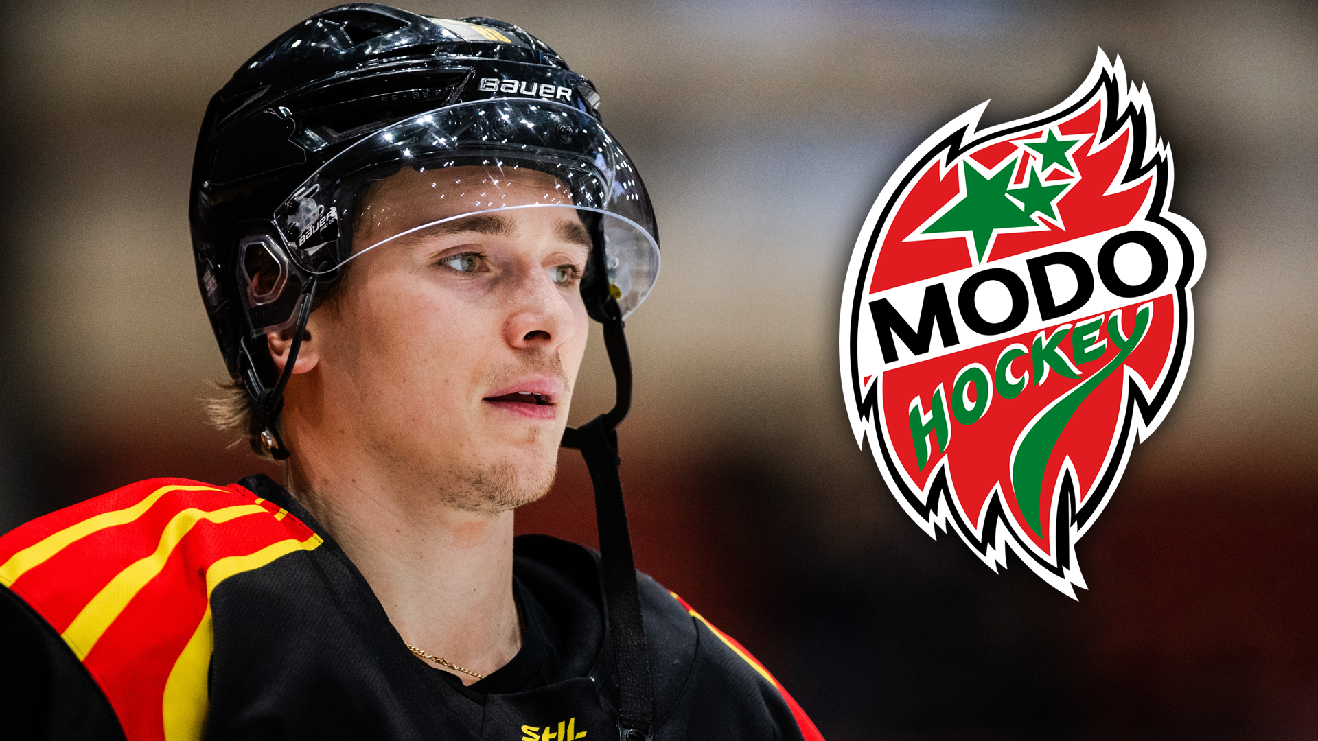 (28137) Dmytro Timashov