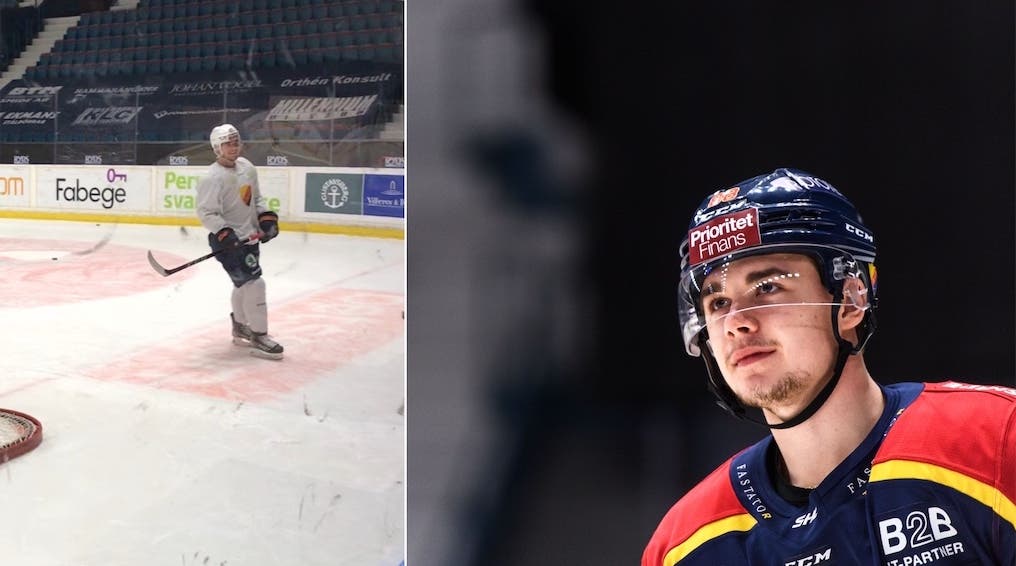 (17443) Alexander Holtz/Djurgården