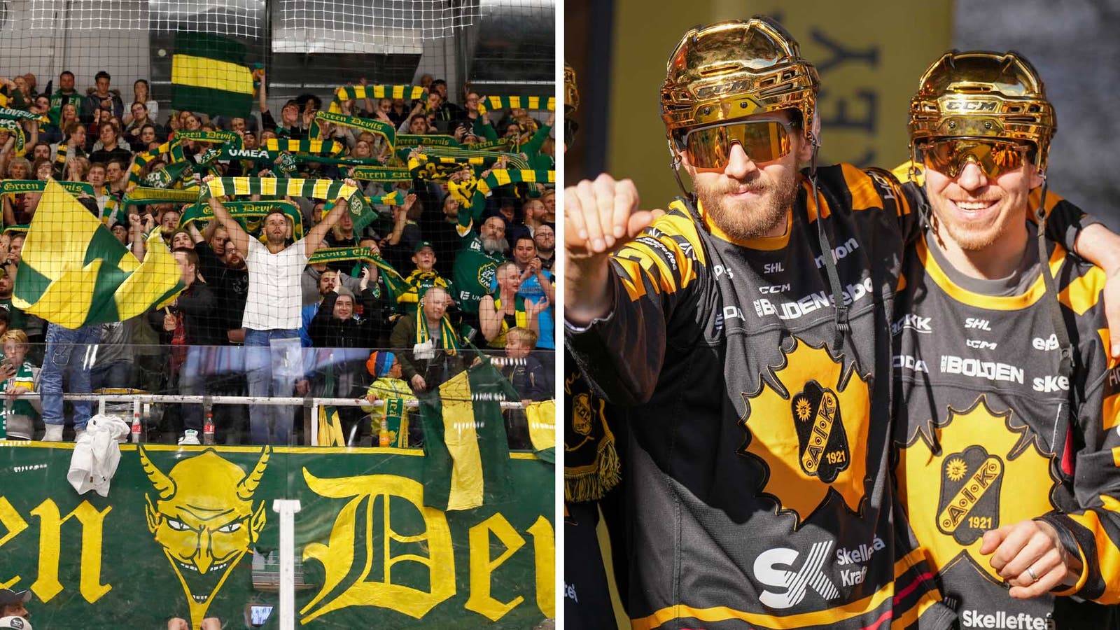 Björklöven Skellefteå