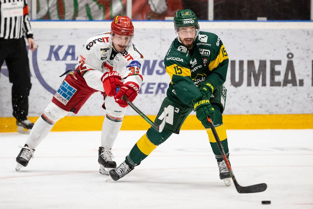 (13442) Björklöven-Modo