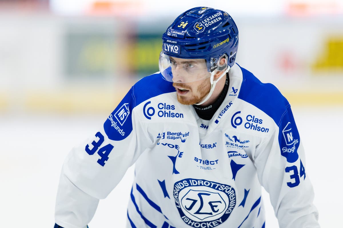 peter cehlárik