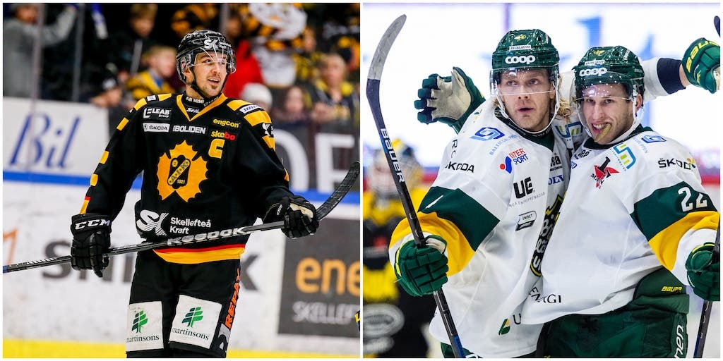 (11960) Jimmie Ericsson/Björklöven