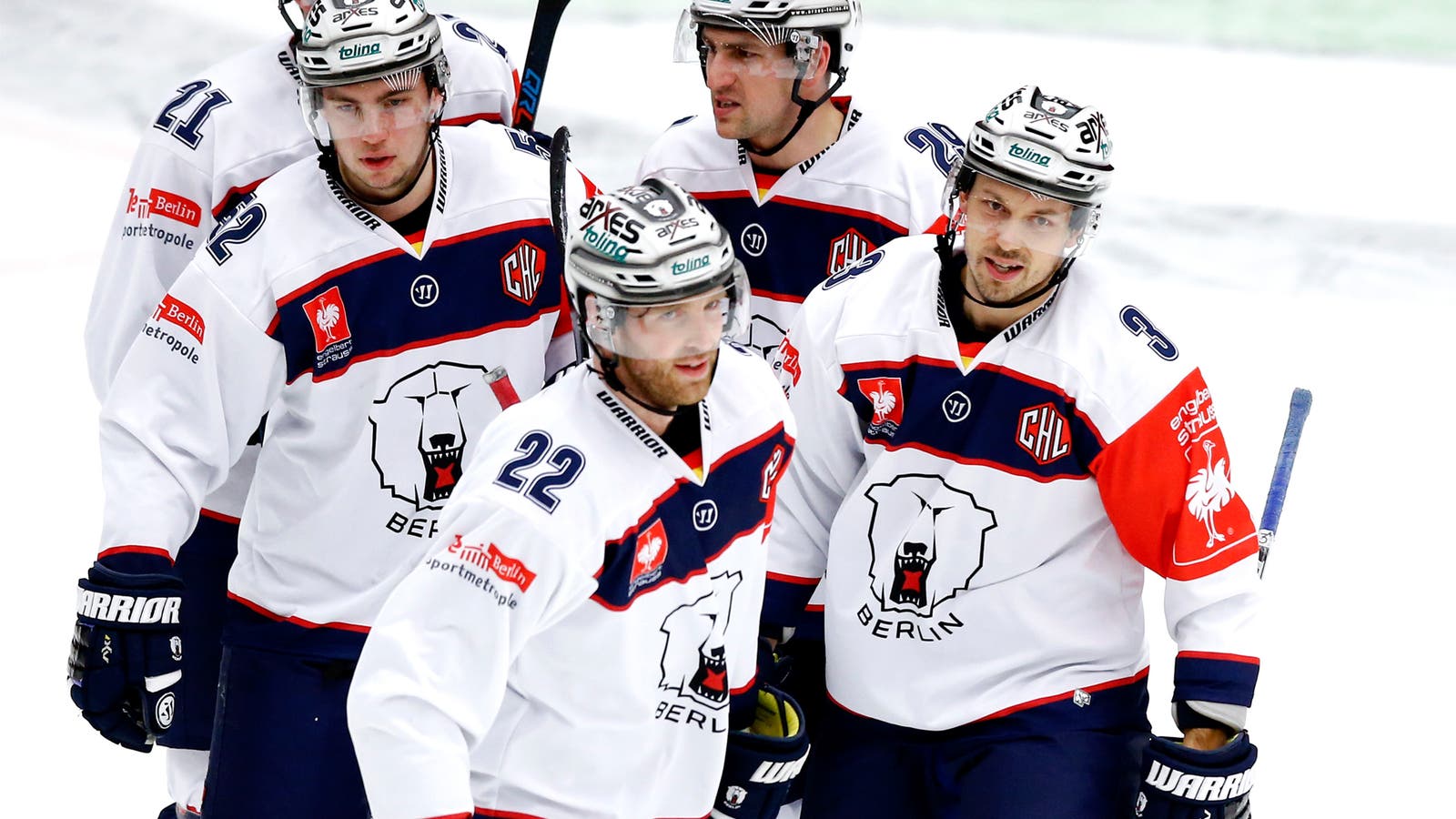 (13685) Eisbären Berling