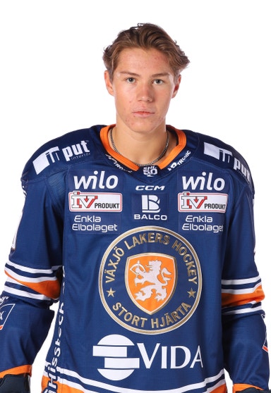 Leo Sahlin Wallenius