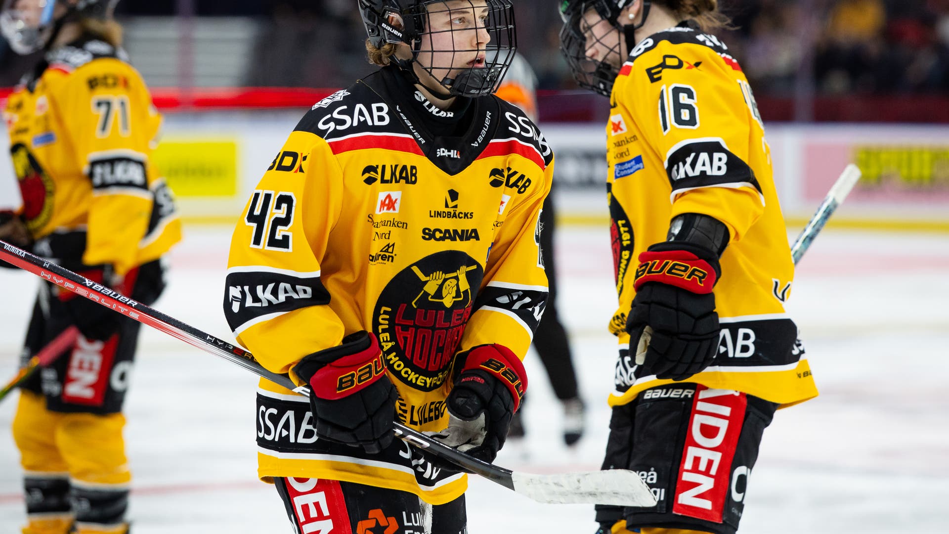 Vainikka