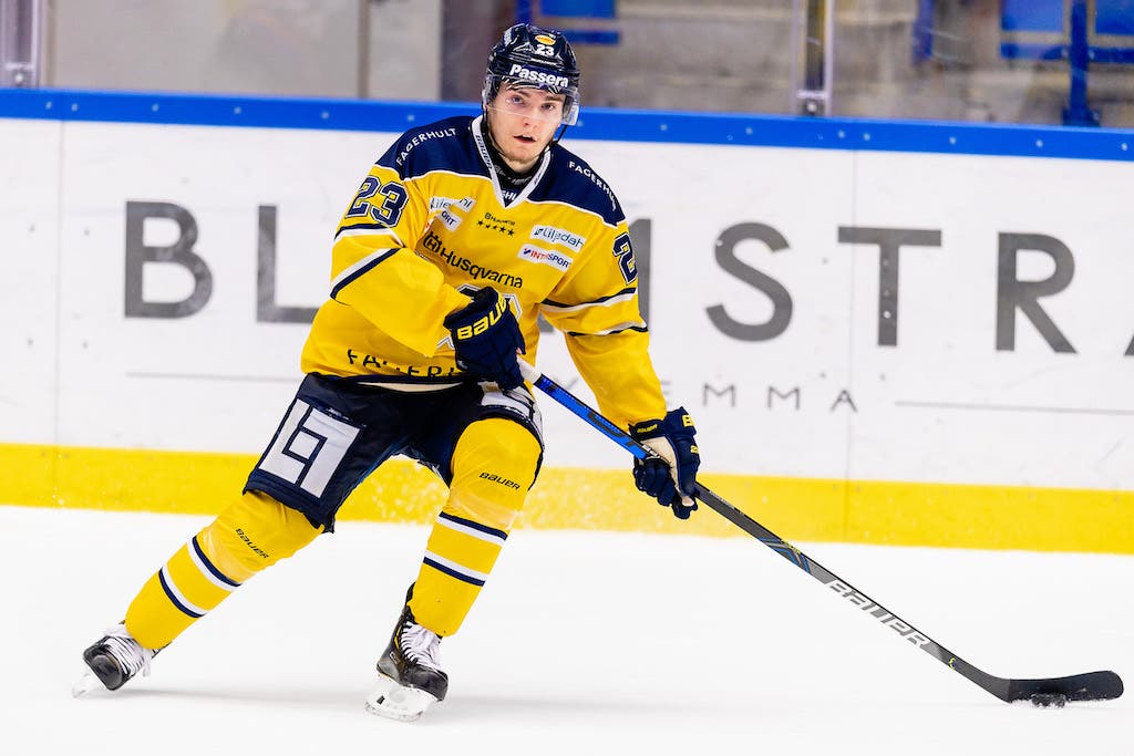 (16168) Lias Andersson/HV71