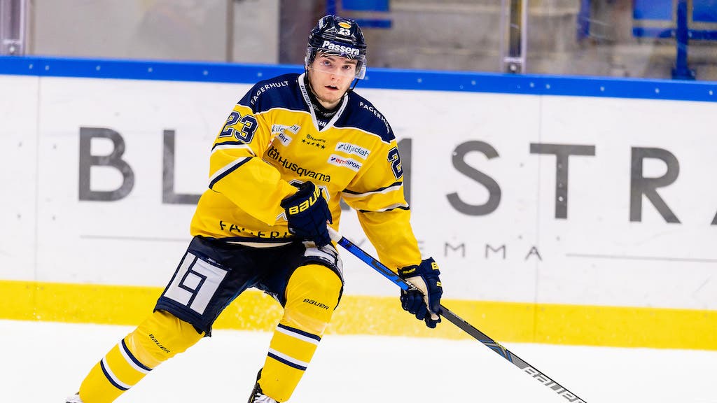 (16168) Lias Andersson/HV71