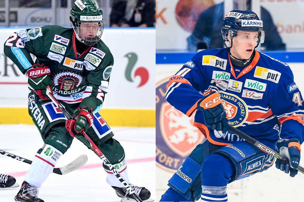 (1445) Rasmus Dahlin Elias Pettersson