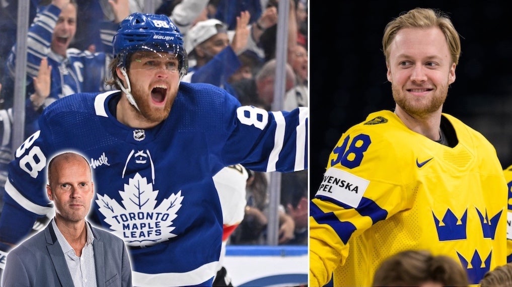 (28089) William Nylander Alexander Nylander