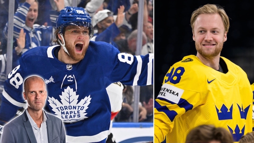 (28089) William Nylander Alexander Nylander