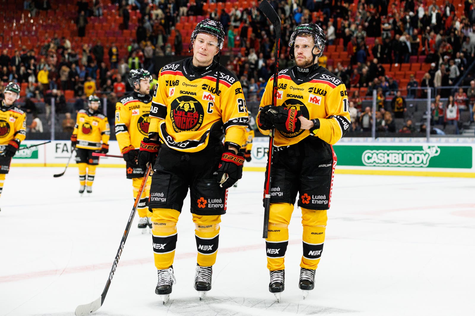 (24950) Erik Gustafsson Luleå