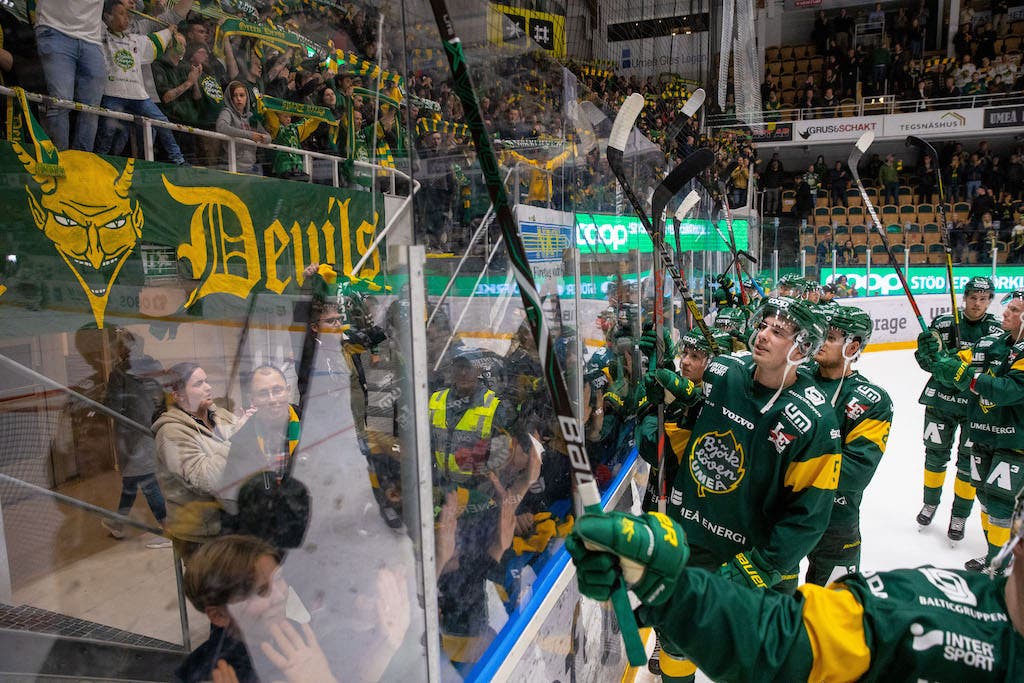 (10231) björklöven