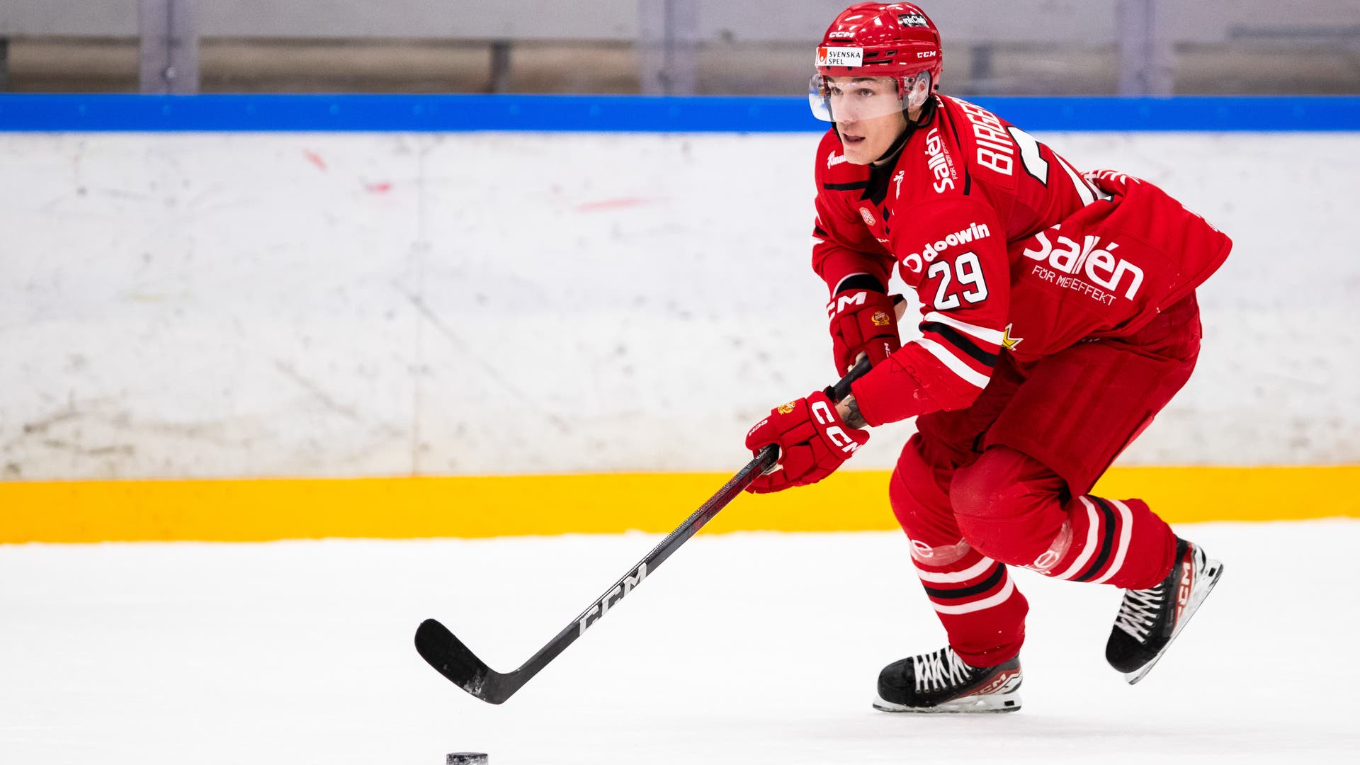 Oscar Birgersson