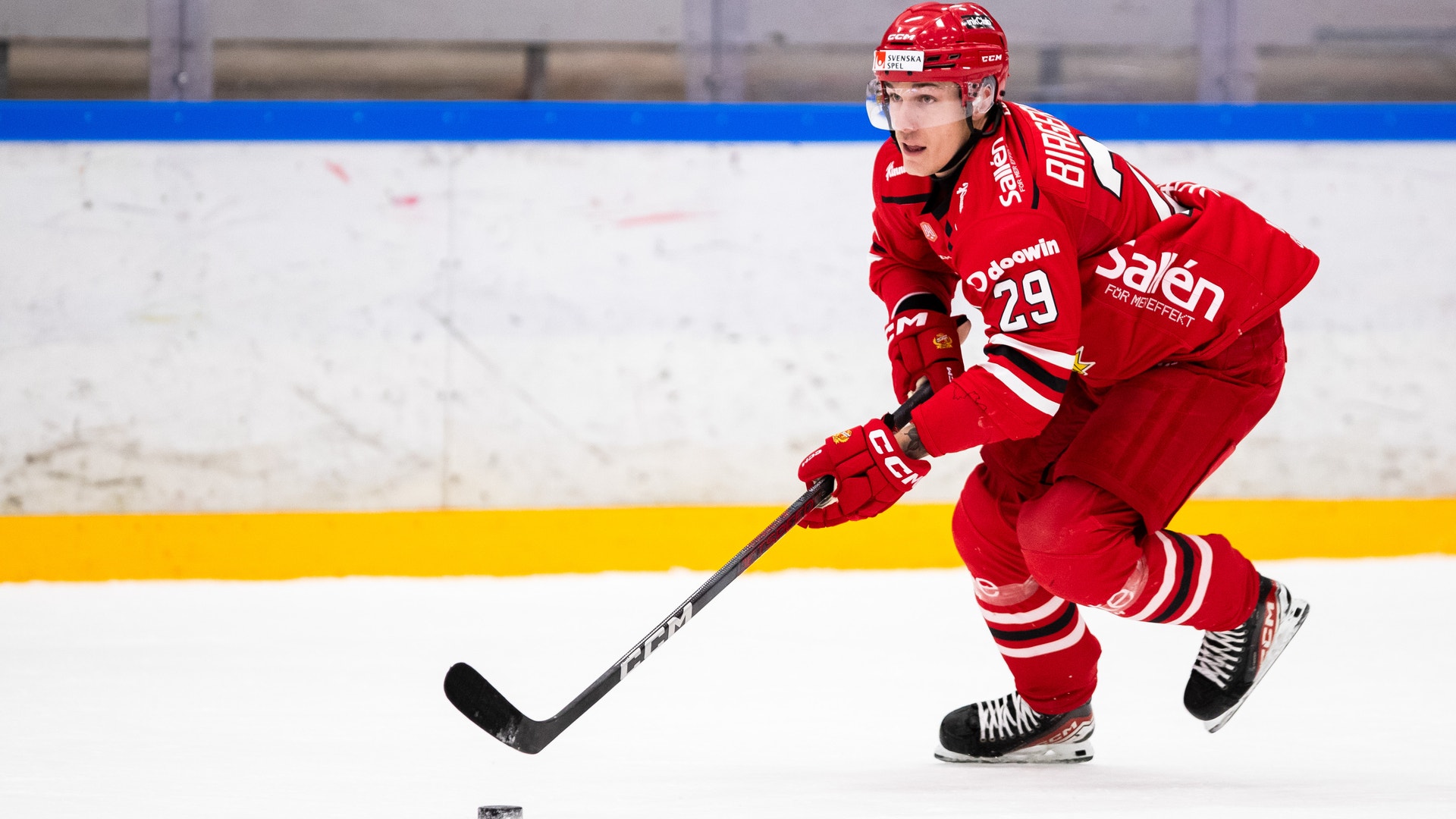 Oscar Birgersson