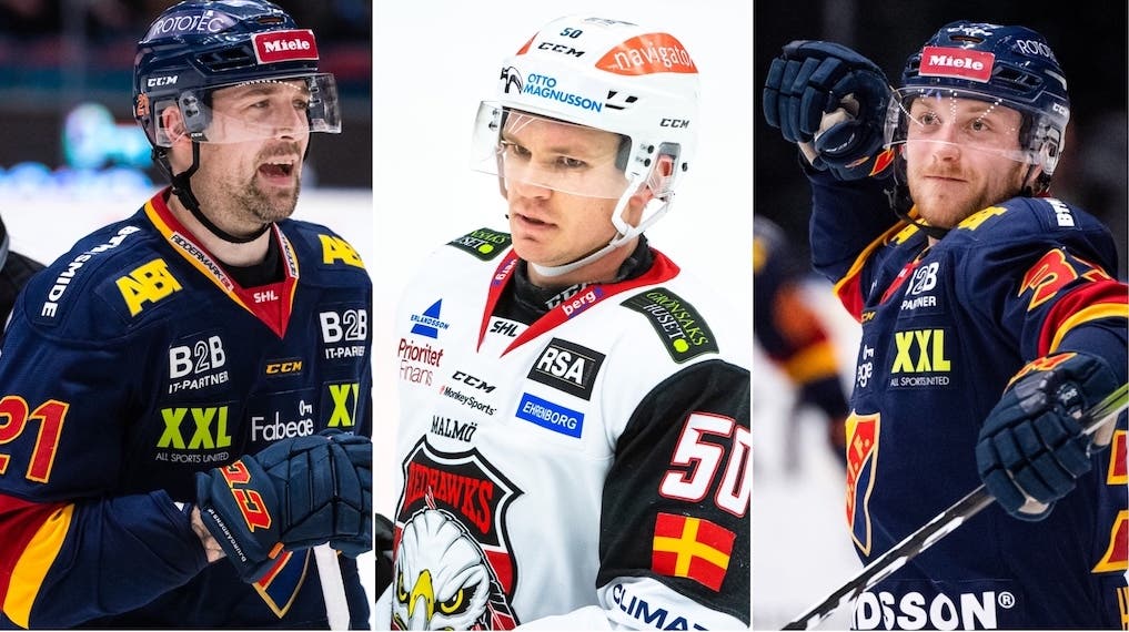 (13320) Djurgården/genomgång