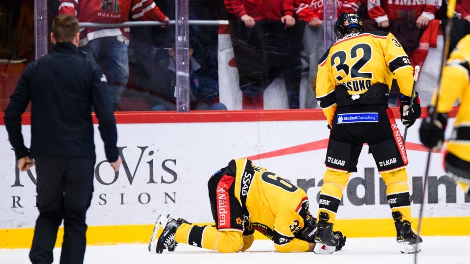 (5307) 67 hjärnskakningar i SHL