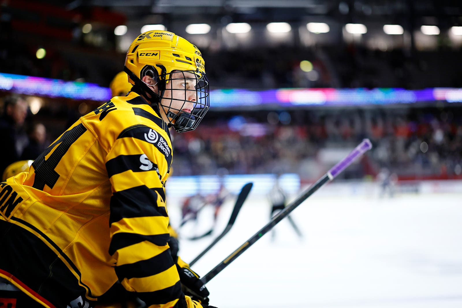 (24212) Elias Salomonsson