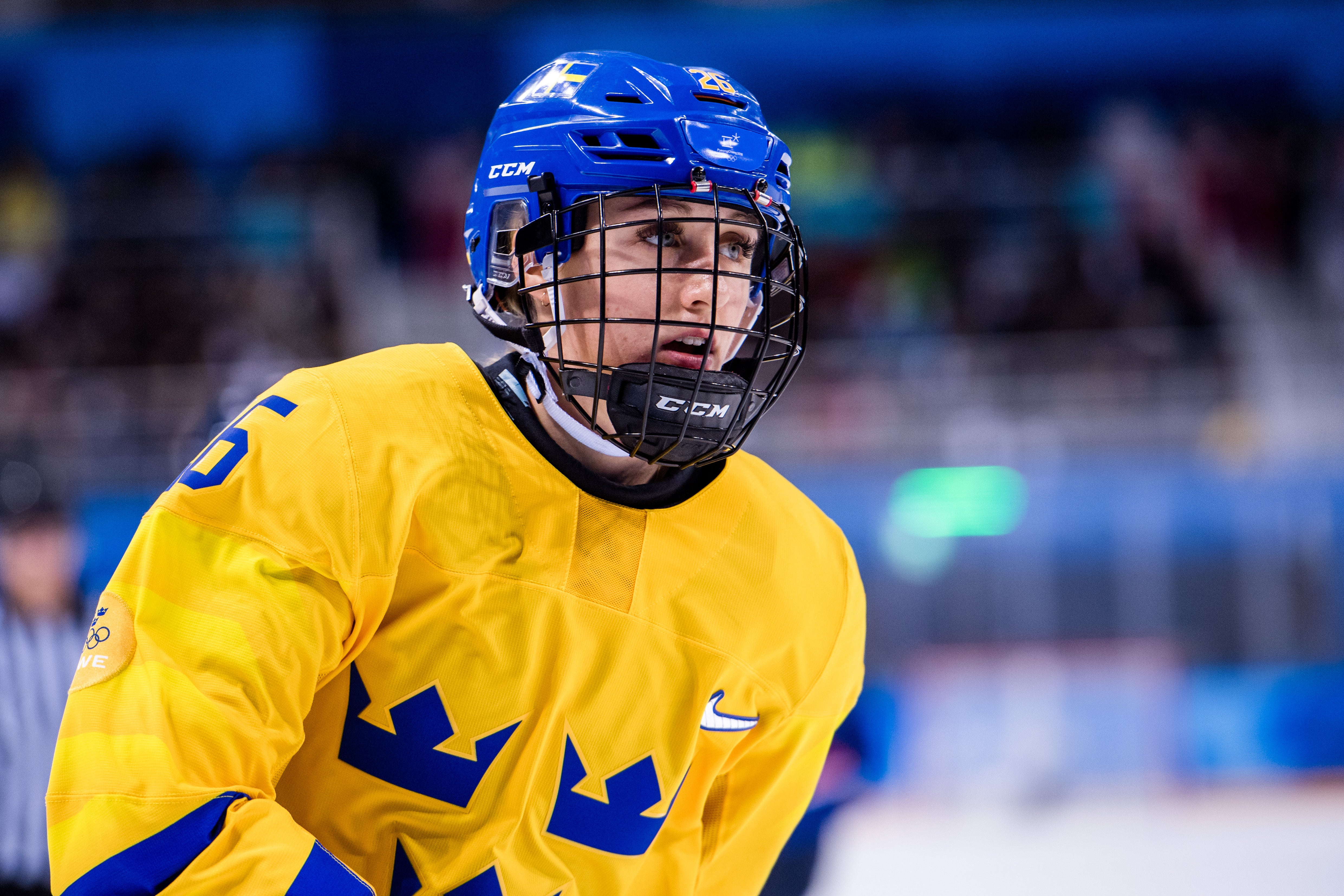 Petter Arvidson /Bildbyrån