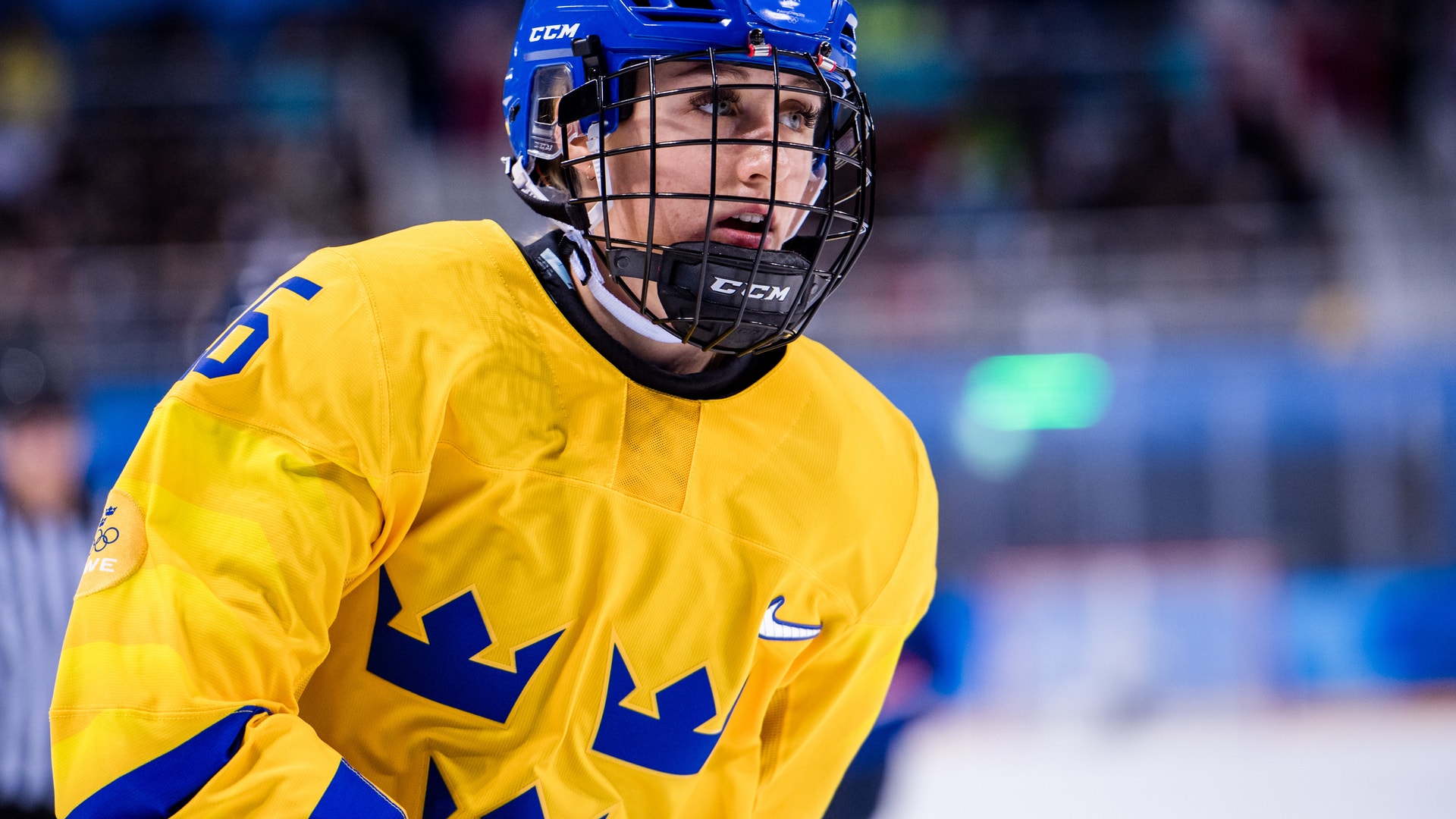 Petter Arvidson /Bildbyrån