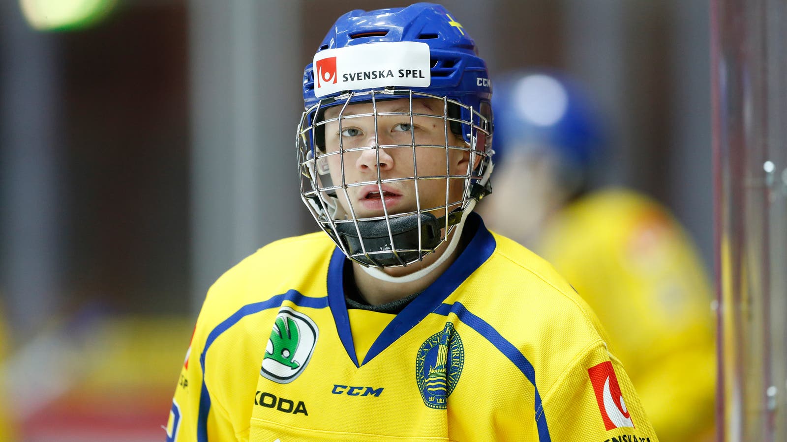 (11501) Lucas Raymond