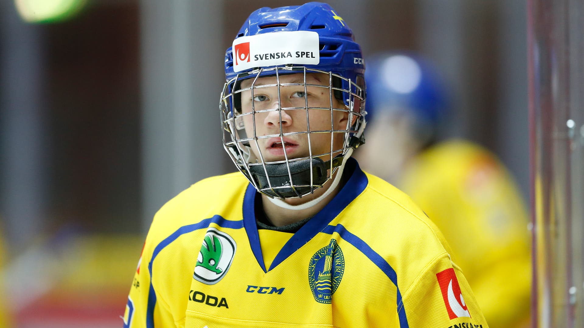 (11501) Lucas Raymond