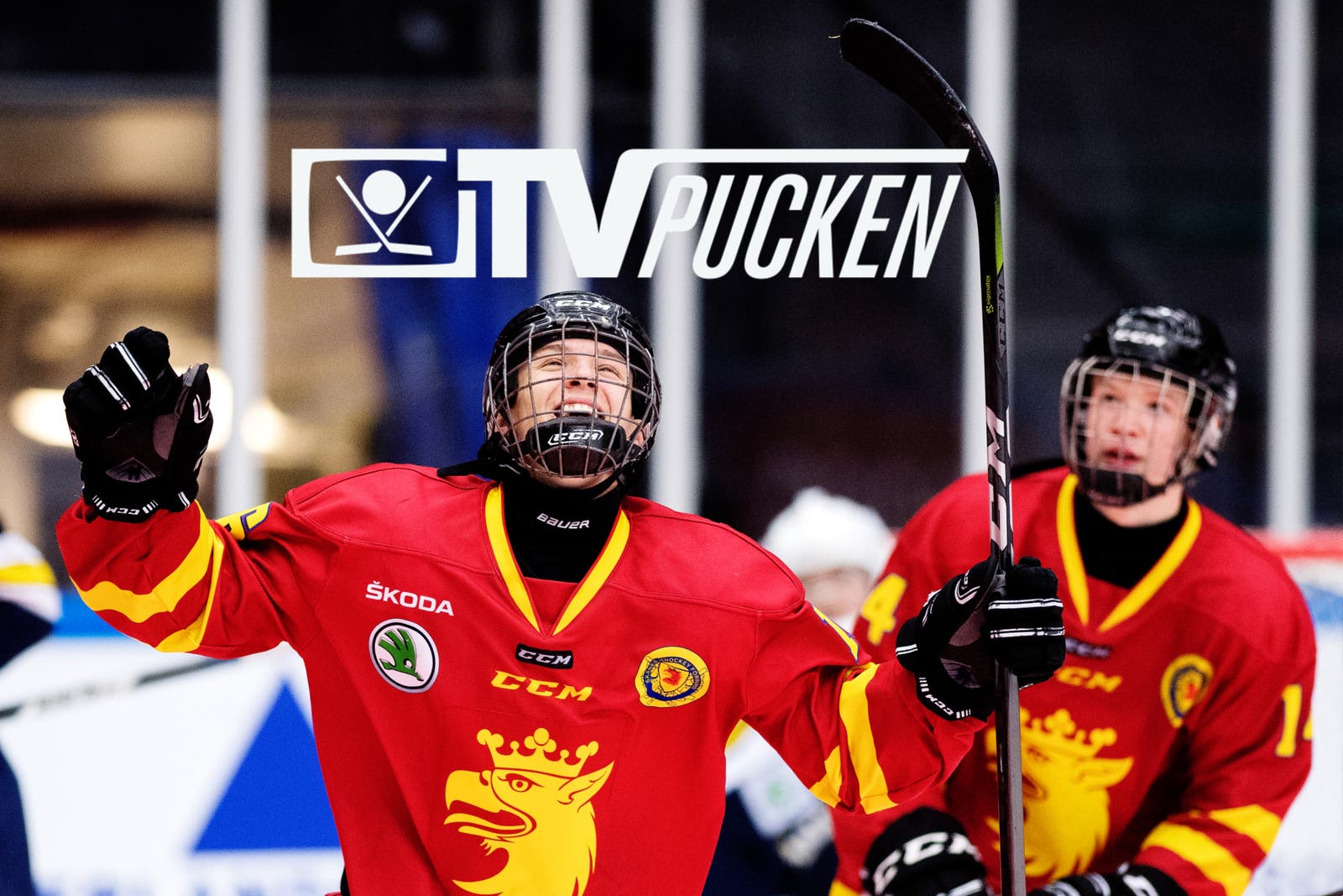TV-pucken